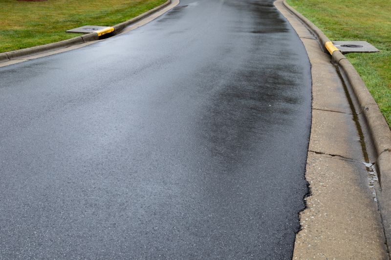Asphalt Driveway with Curves